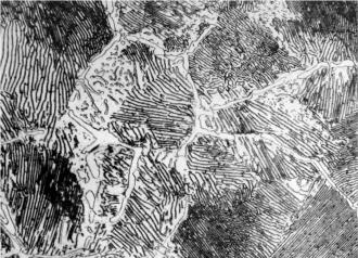 pagenumber_ebook=34,pagenumber_book=25